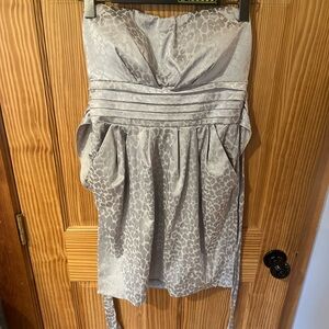 Snap Metallic Gray Dress with Pattern